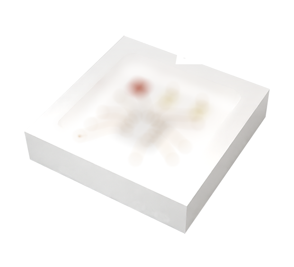 iCLed EVO 3838