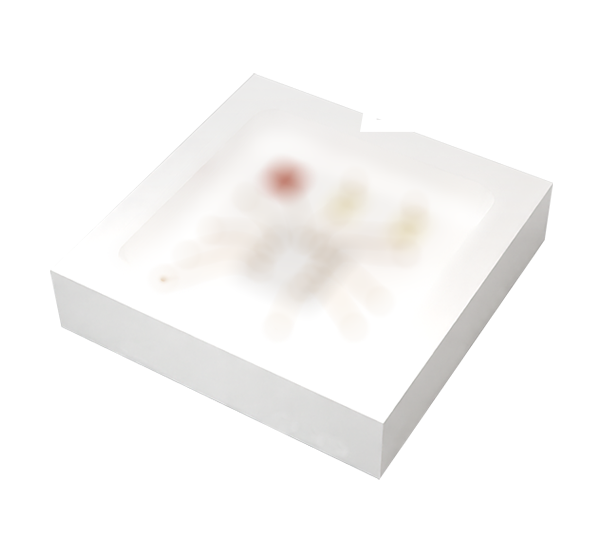 2025-06-06 Image (4).png